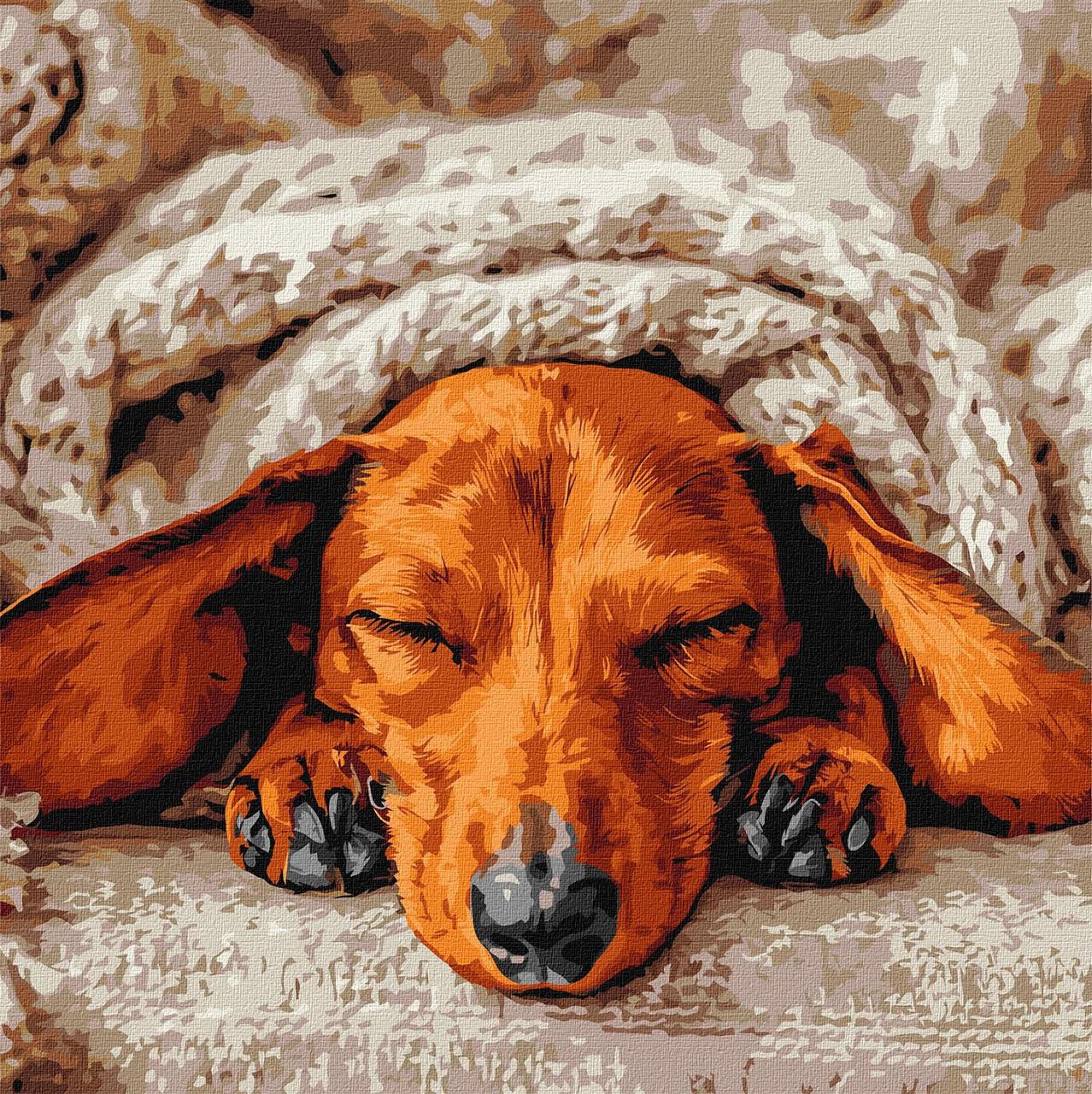 Картина по номерам Ideyka Сладкий покой 40х40 см (2847123864)