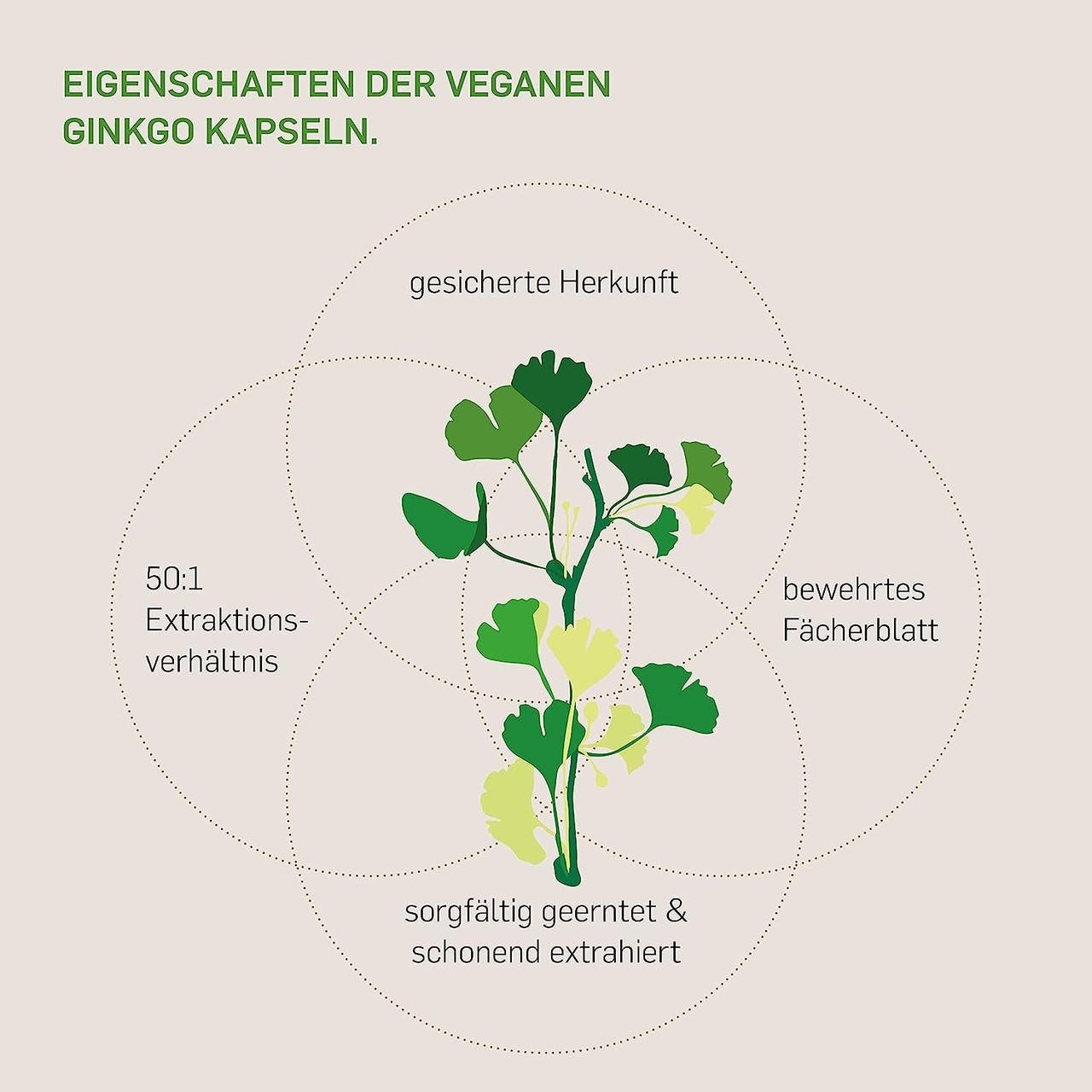 Витамины для мозговой активности Гинкго билоба (Ginkgo Biloba) 6000 Kurkraft 180 капс. (50091243) - фото 2 Витамины для мозговой активности Гинкго билоба (Ginkgo Biloba) 6000 Kurkraft 180 капс. (50091243) - фото 2