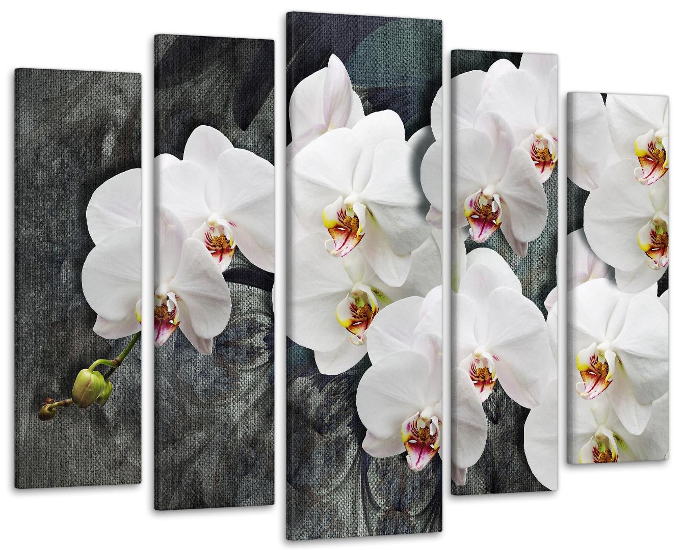Картина модульна ОрхідеяArt 110х160 см (Art-423_5)