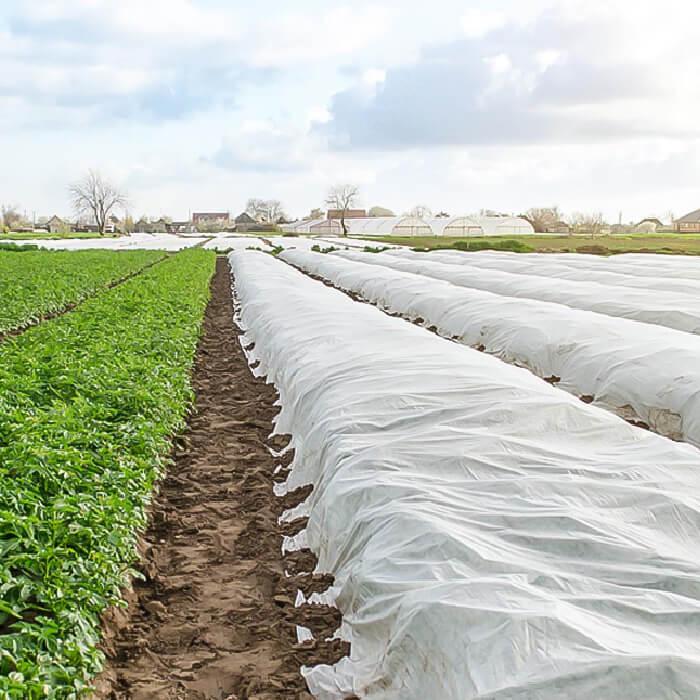 Агроволокно Agreen у рулоні 23 мк 4,2 х100 м Білий (A9279) - фото 3