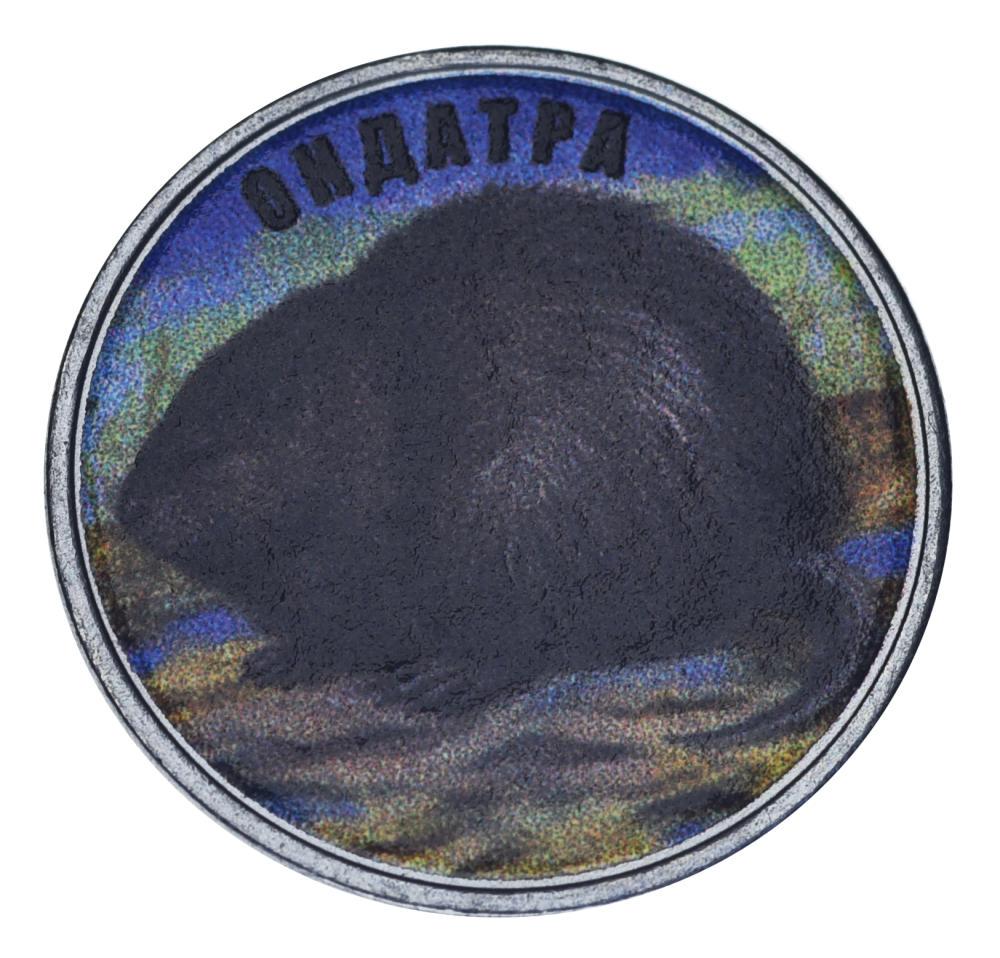 Коллекционная монета Украина 5 копеек UNC Животное-Грызун-Ондатра (М23845)