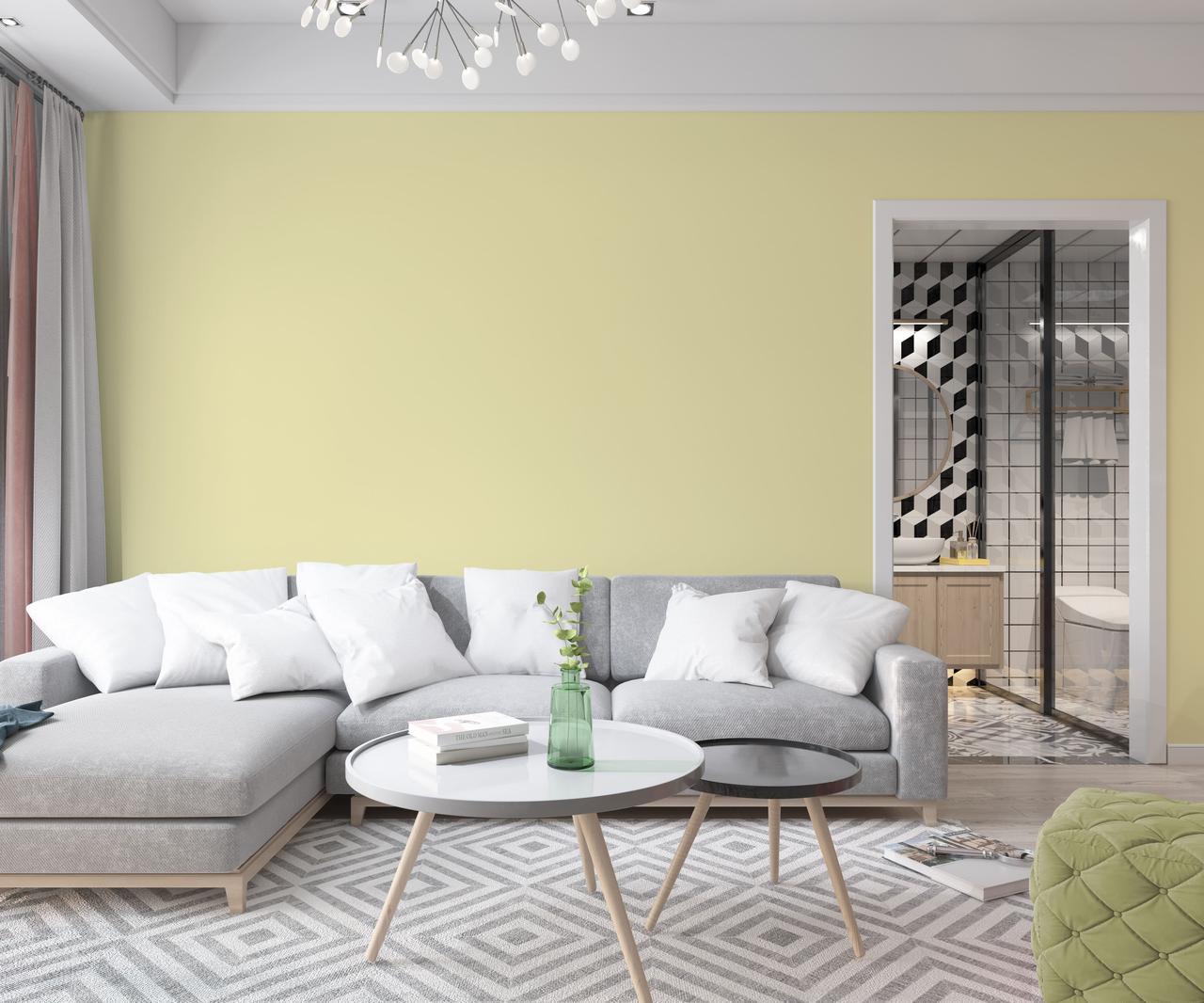 Краска интерьерная латексная Skyline 0507-Y20R 3 л Полевой (686b9081e1a1ec59497f9aab) - фото 3 Краска интерьерная латексная Skyline 0507-Y20R 3 л Полевой (686b9081e1a1ec59497f9aab) - фото 3