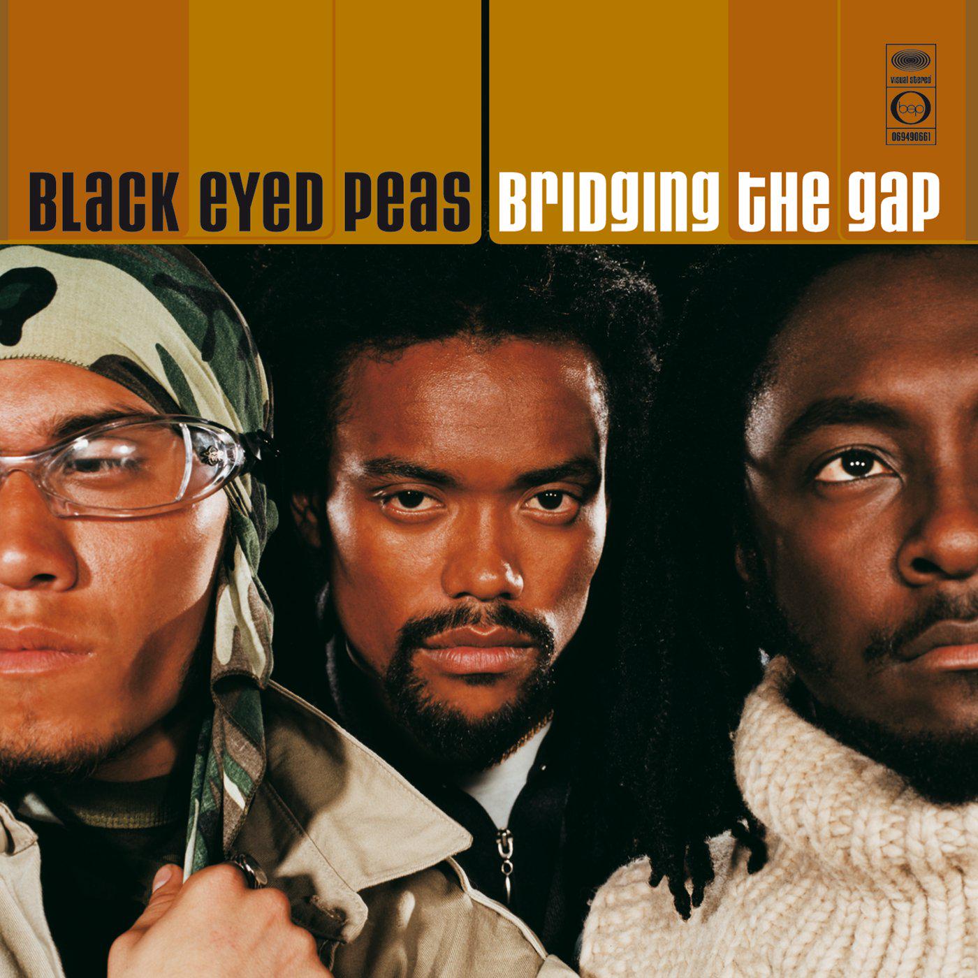 Виниловая пластинка The Black Eyed Peas - Bridging The Gap 2LP (25491619)
