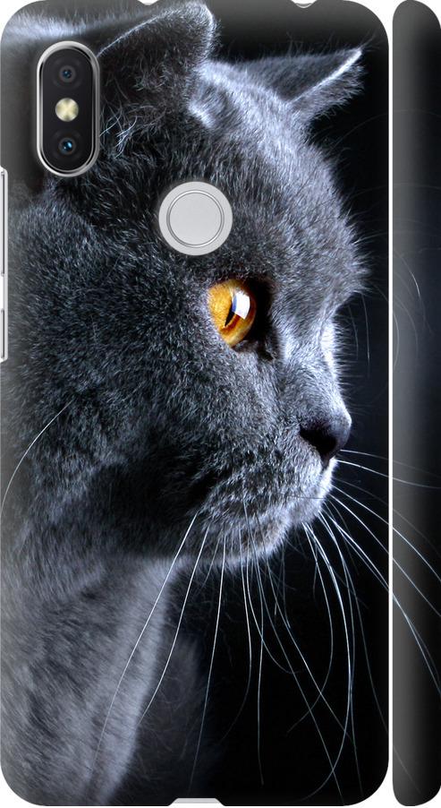 Чехол на Xiaomi Redmi S2 Красивый кот (3038m-1494-42517)