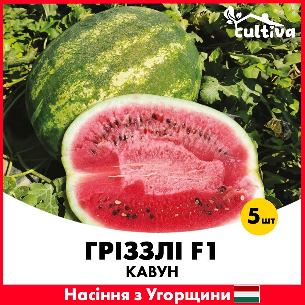 Семена арбуза гиззли ZKI F1 5 шт. (jkl6)