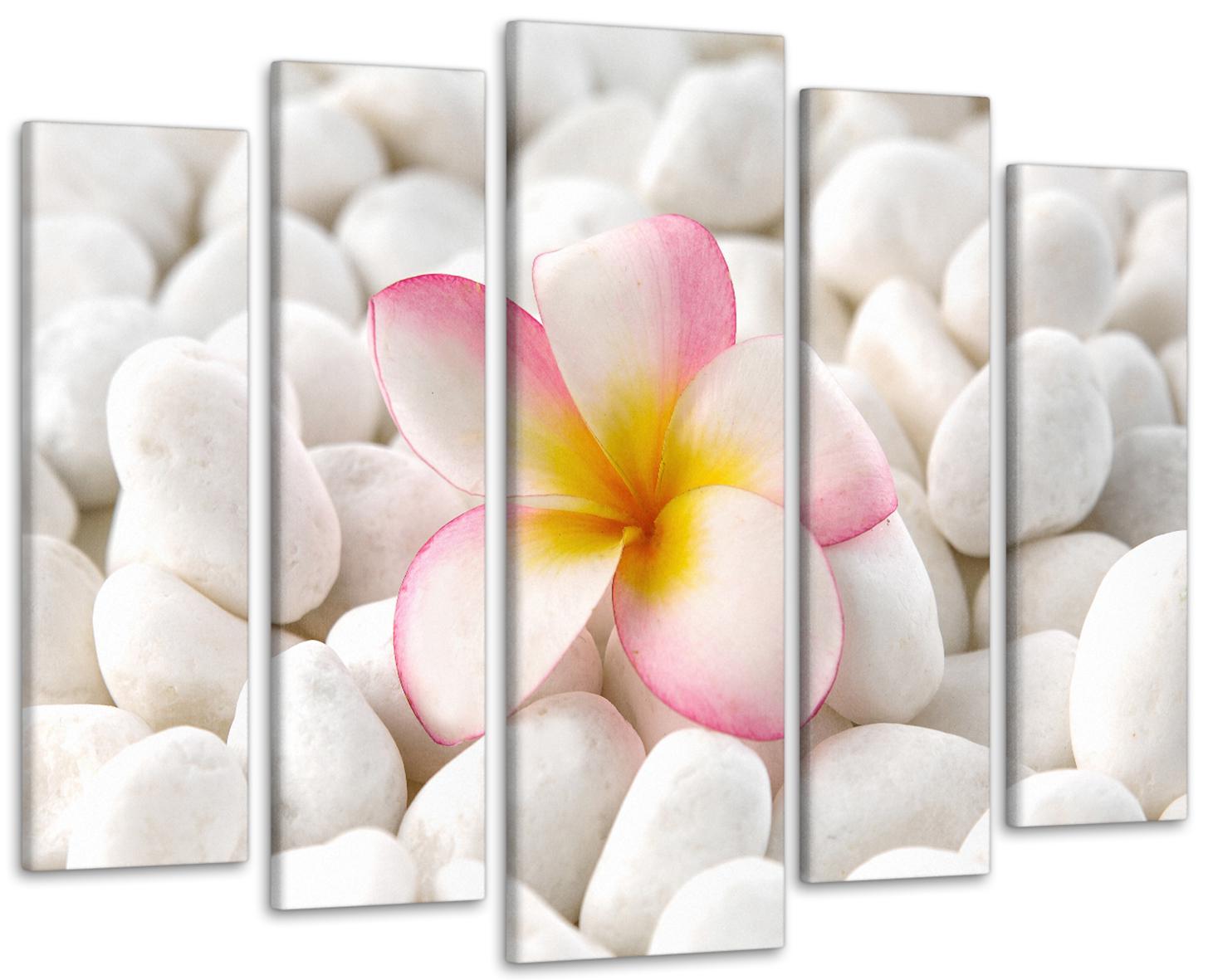 Картина модульная Цветок 99х140 см (Art-294_5)