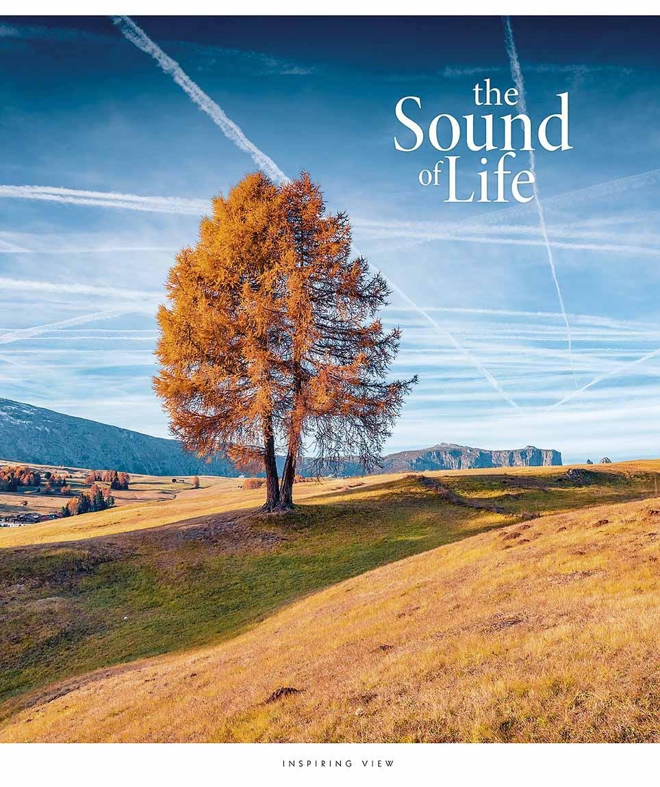 Тетрадь общая the Soung of Life STAR в линию 96 л. 5 шт. 3347 (4820006476496) - фото 3