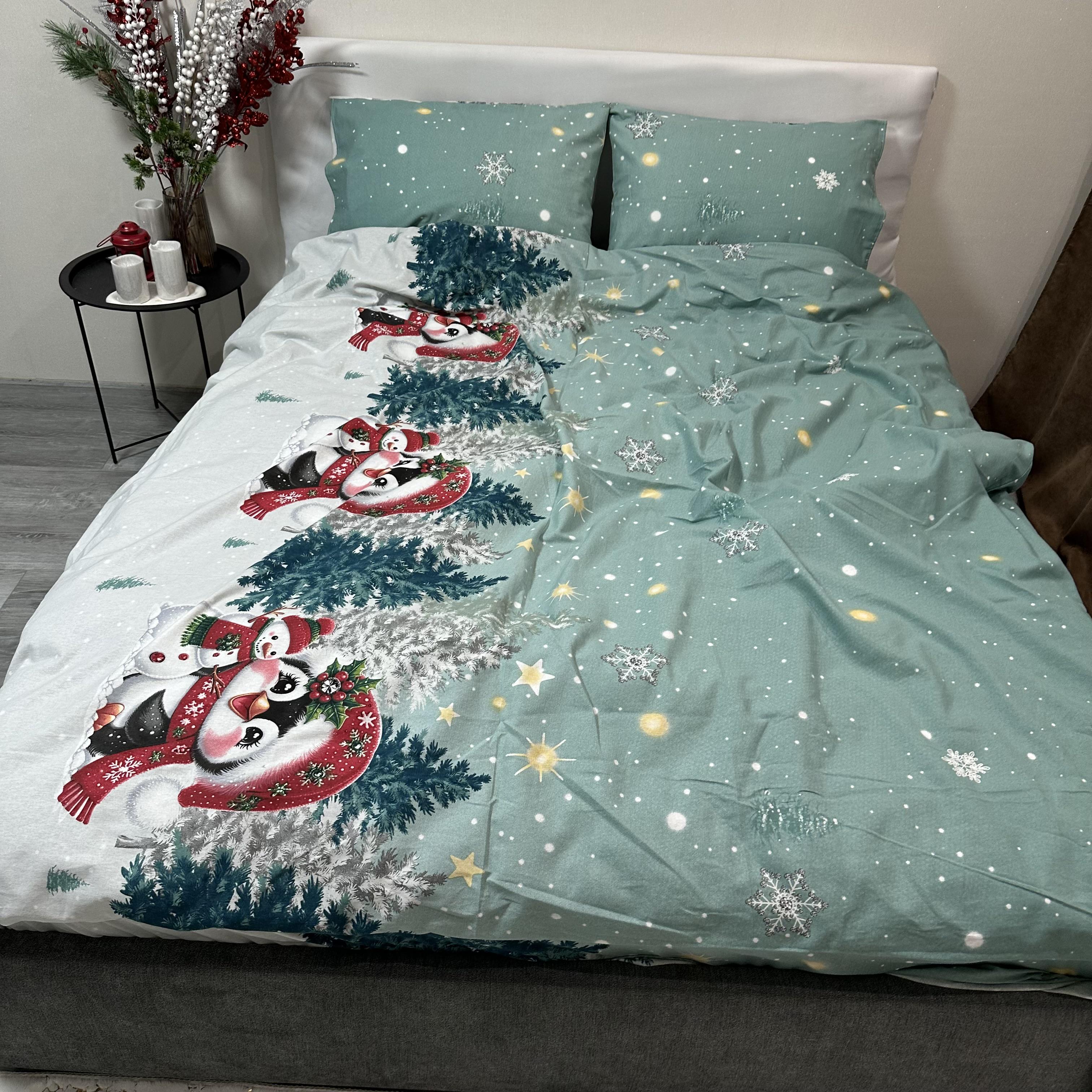Комплект постільної білизни байкова Зимовий євро Бірюзовий (байка 10-3)