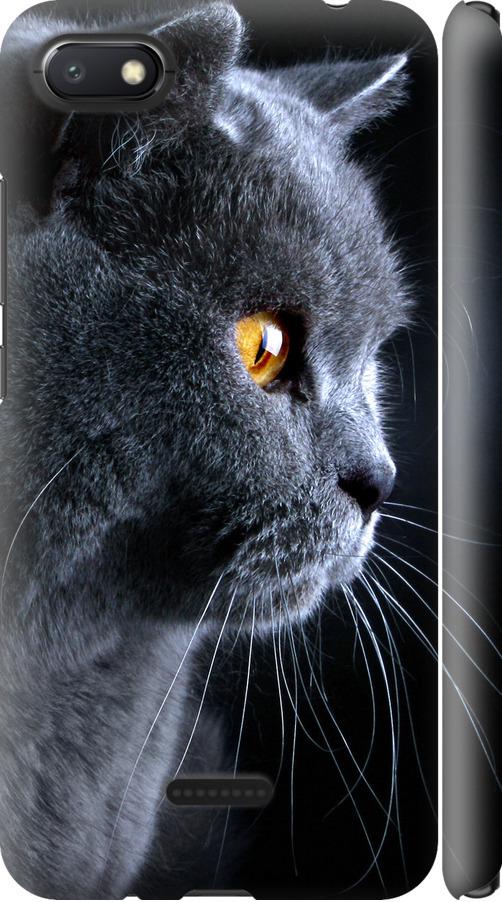 Чехол на Xiaomi Redmi 6A Красивый кот (3038m-1531-42517) Чехол на Xiaomi Redmi 6A Красивый кот (3038m-1531-42517)