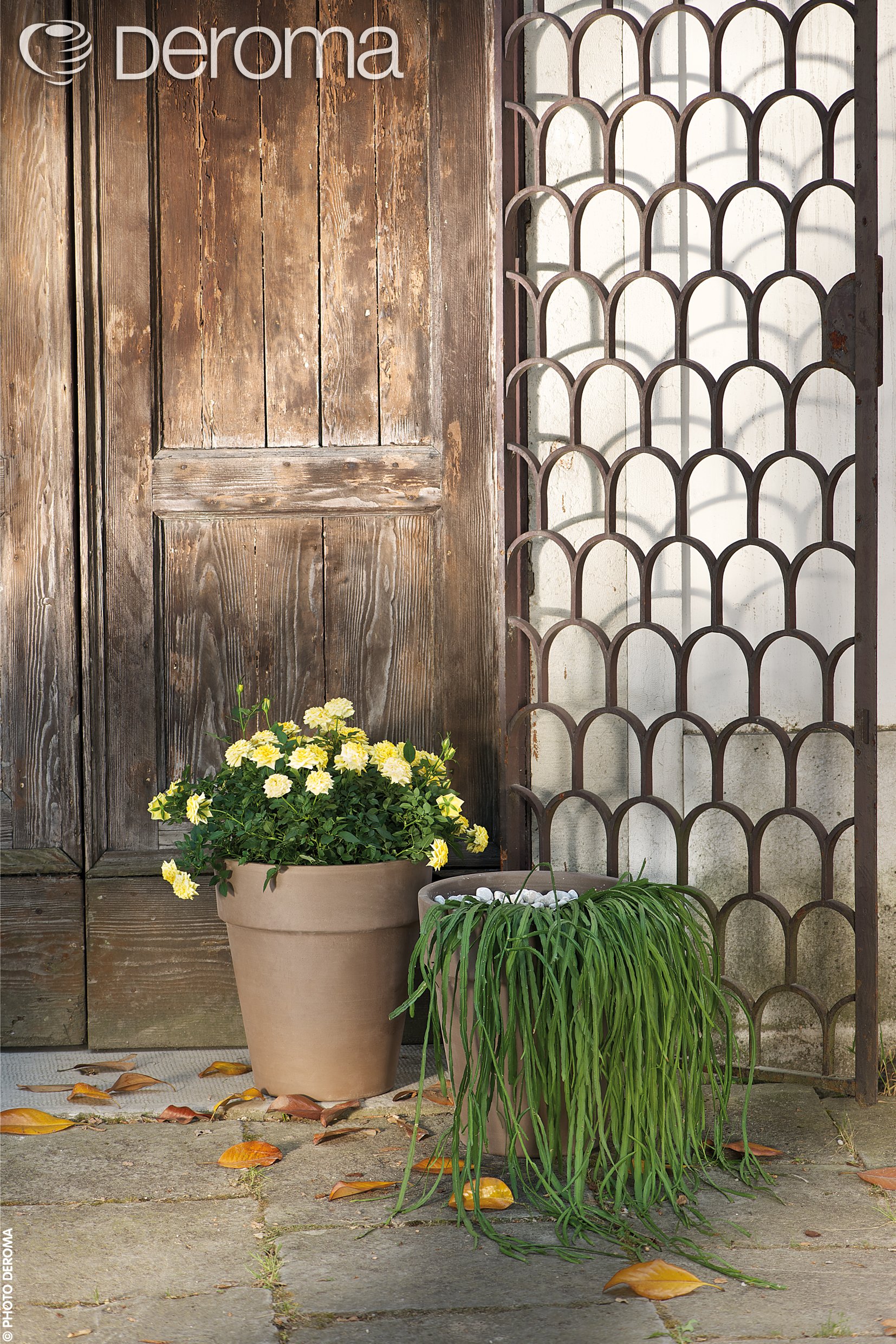 Горшок с поддоном DEROMA альто 24х22 см 5,3 л Мокко (000006326) - фото 2 Горшок с поддоном DEROMA альто 24х22 см 5,3 л Мокко (000006326) - фото 2