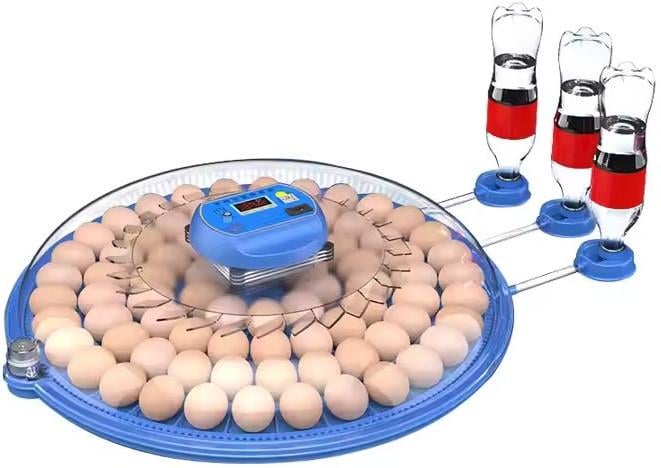 Инкубатор автоматический на 80 яиц Vertis 220/12В с цифровым контроллером (17920)