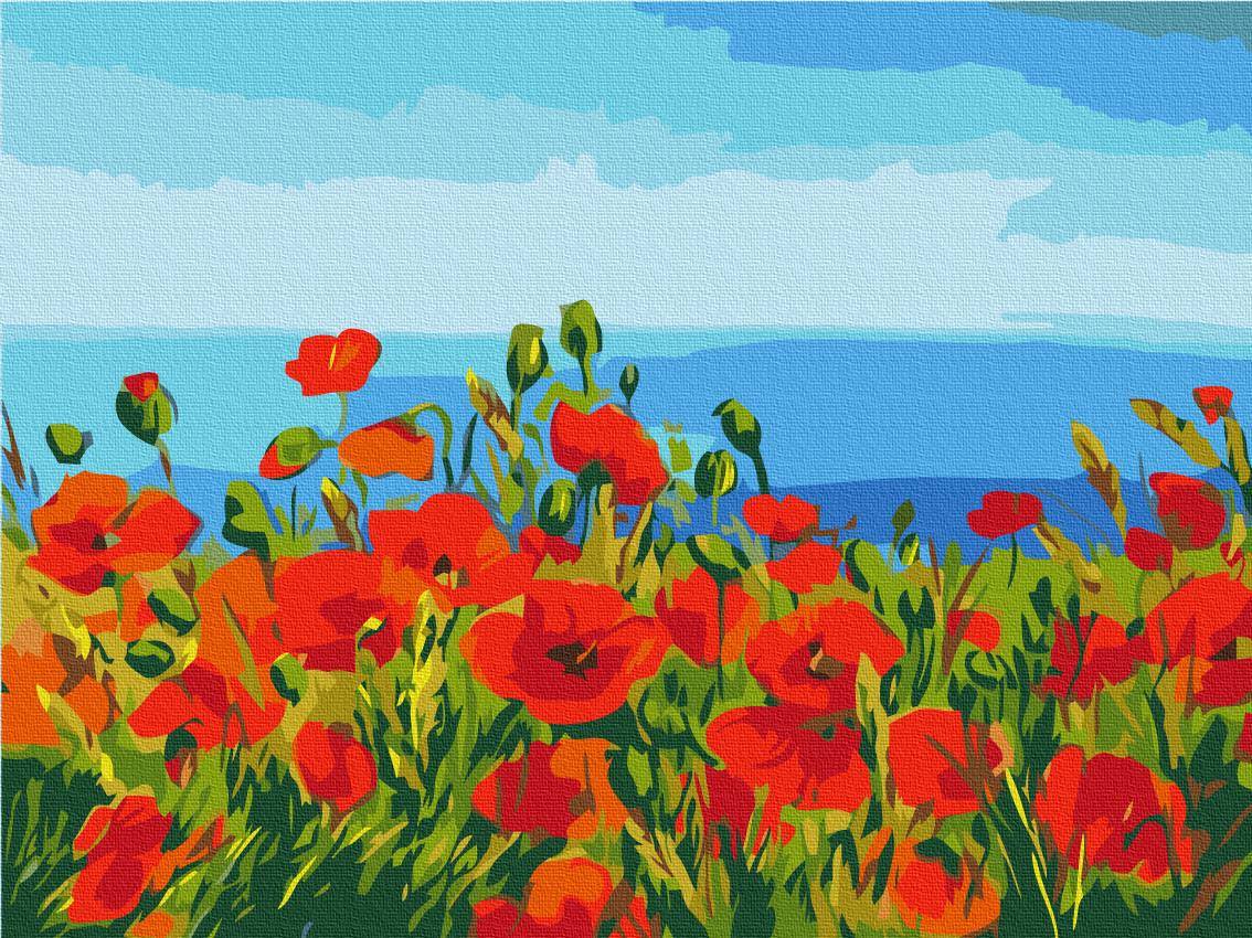 Картина по номерам Brushme Поле маков 30x40 см (RBS1005)