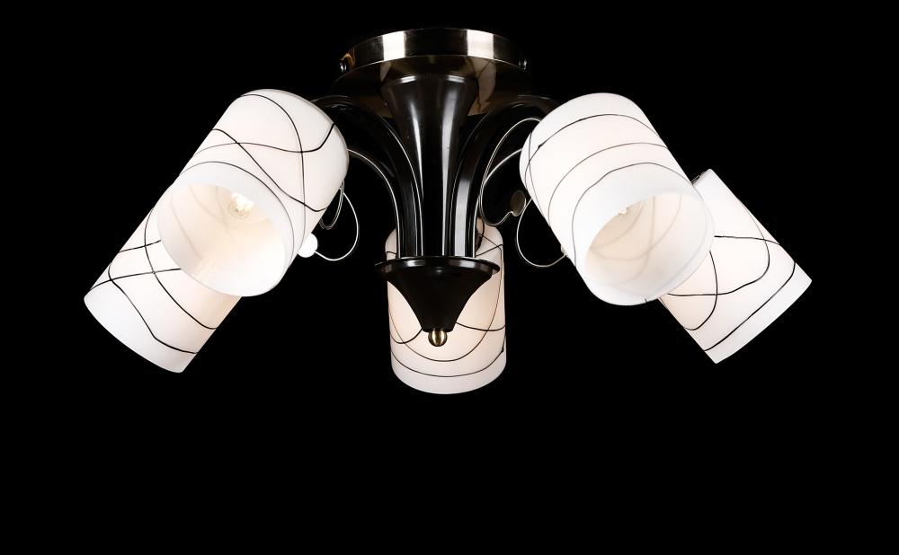 Люстра с плафонами Ray L30587/5 (IR006239)