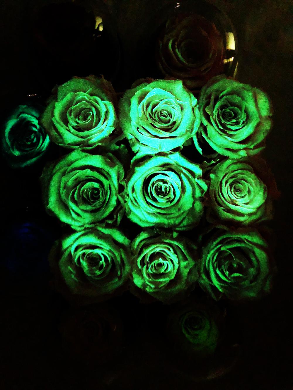 Люмінофор ТАТ 33 з класичним зеленим світінням 1 кг 60 мікрон (102803532) - фото 2 Люмінофор ТАТ 33 з класичним зеленим світінням 1 кг 60 мікрон (102803532) - фото 2