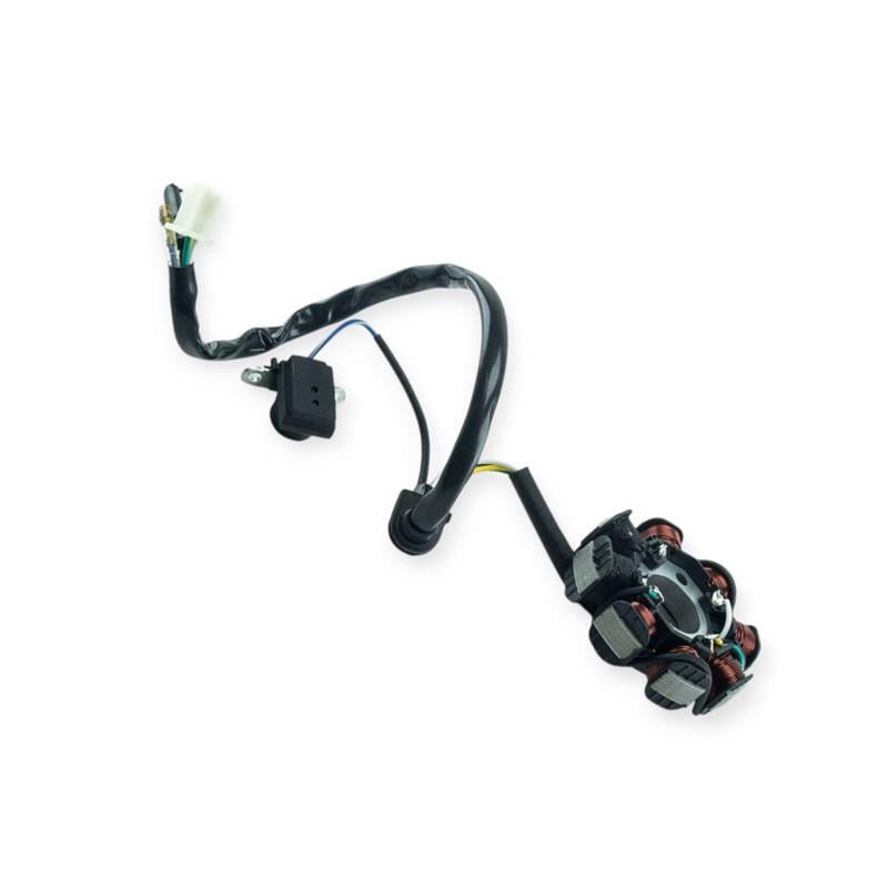 Генератор GY 6-50 6+2 катушки 5 контактов (2684427220) Генератор GY 6-50 6+2 катушки 5 контактов (2684427220)