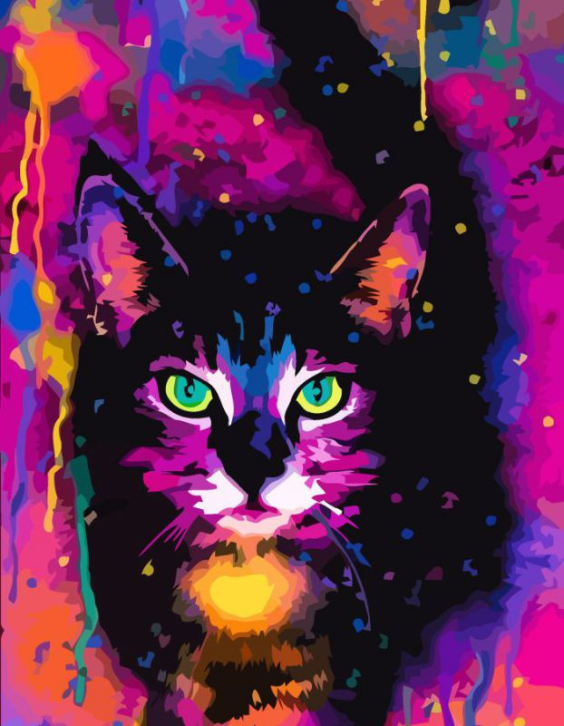 Картина по номерам Rosa Space cat 35х45 см (N00013223)