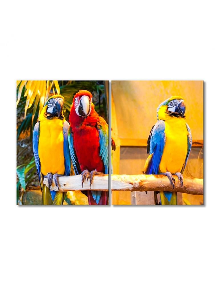 Картина модульная Попугаи друзья 2 модуля 70x105 см Картина модульная Попугаи друзья 2 модуля 70x105 см