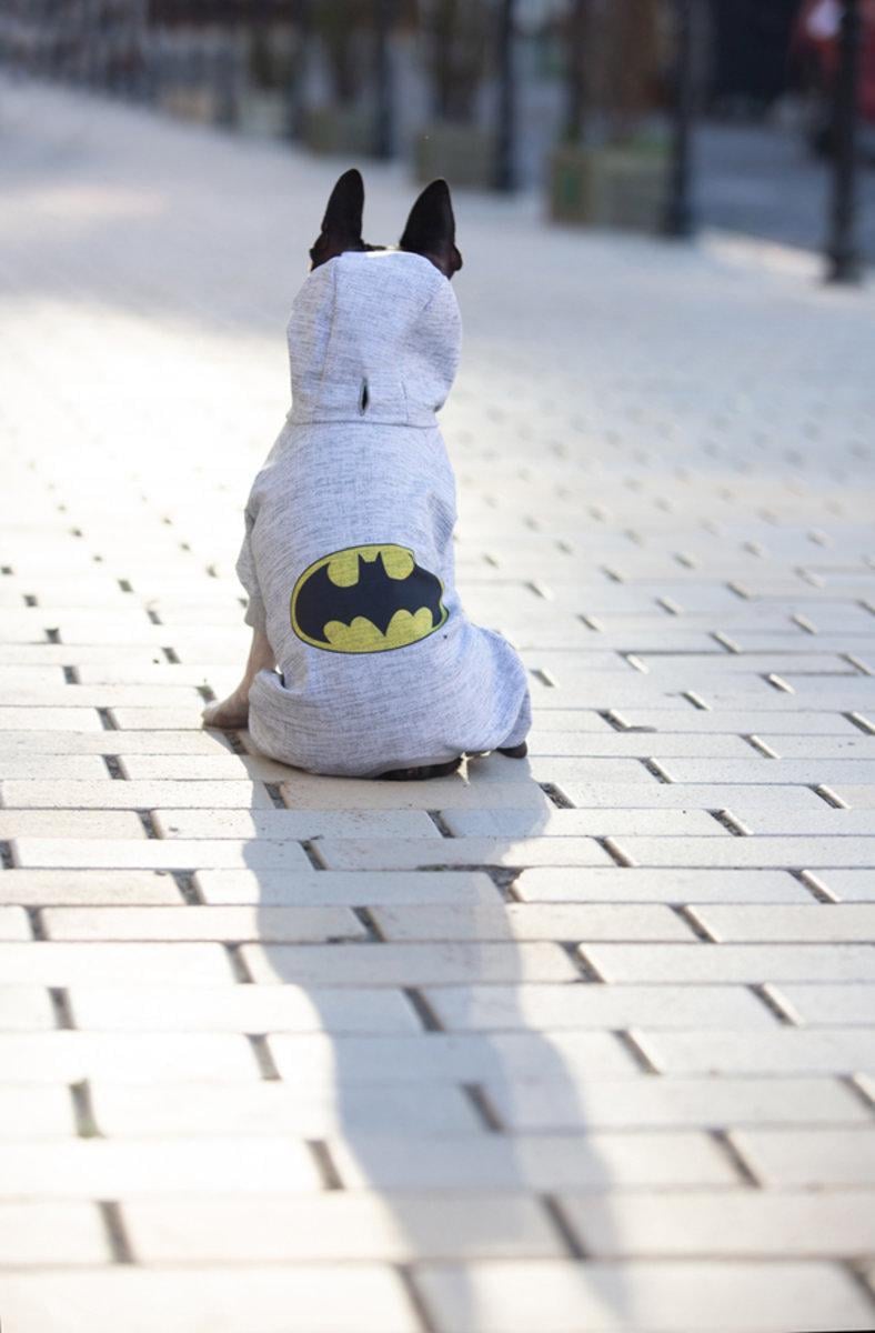Комбинезон для собак Waudog Clothes Бэтмен лого софтшелл M35 54-60х34-40 см (308-2001 Col) - фото 5