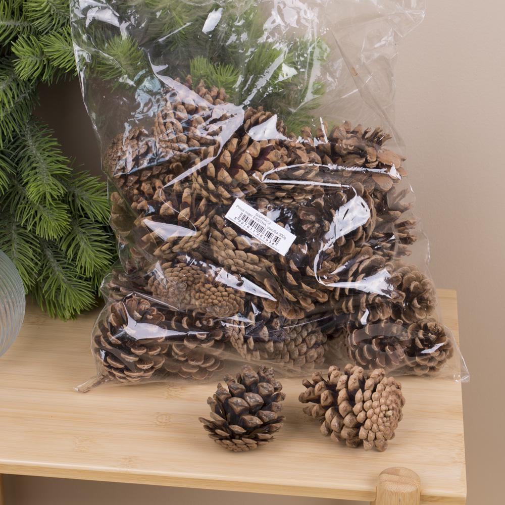 Шишки сосновые крупные 500 г (6733)