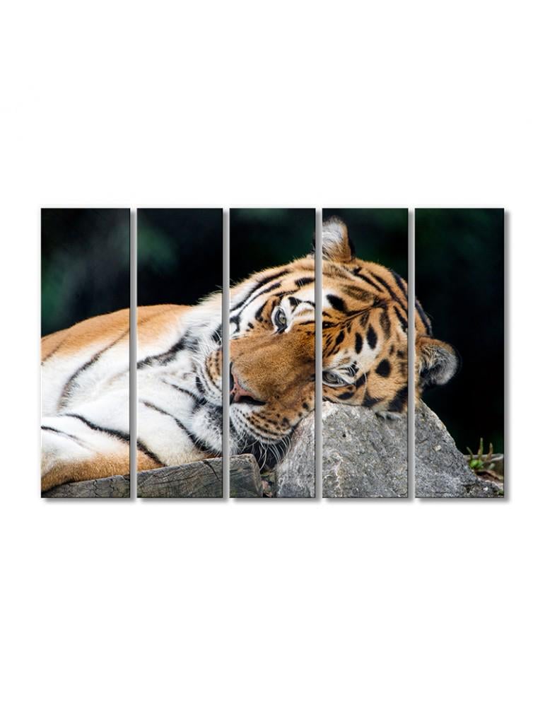 Картина модульная Прилег тигр 5 модулей 70x105 см