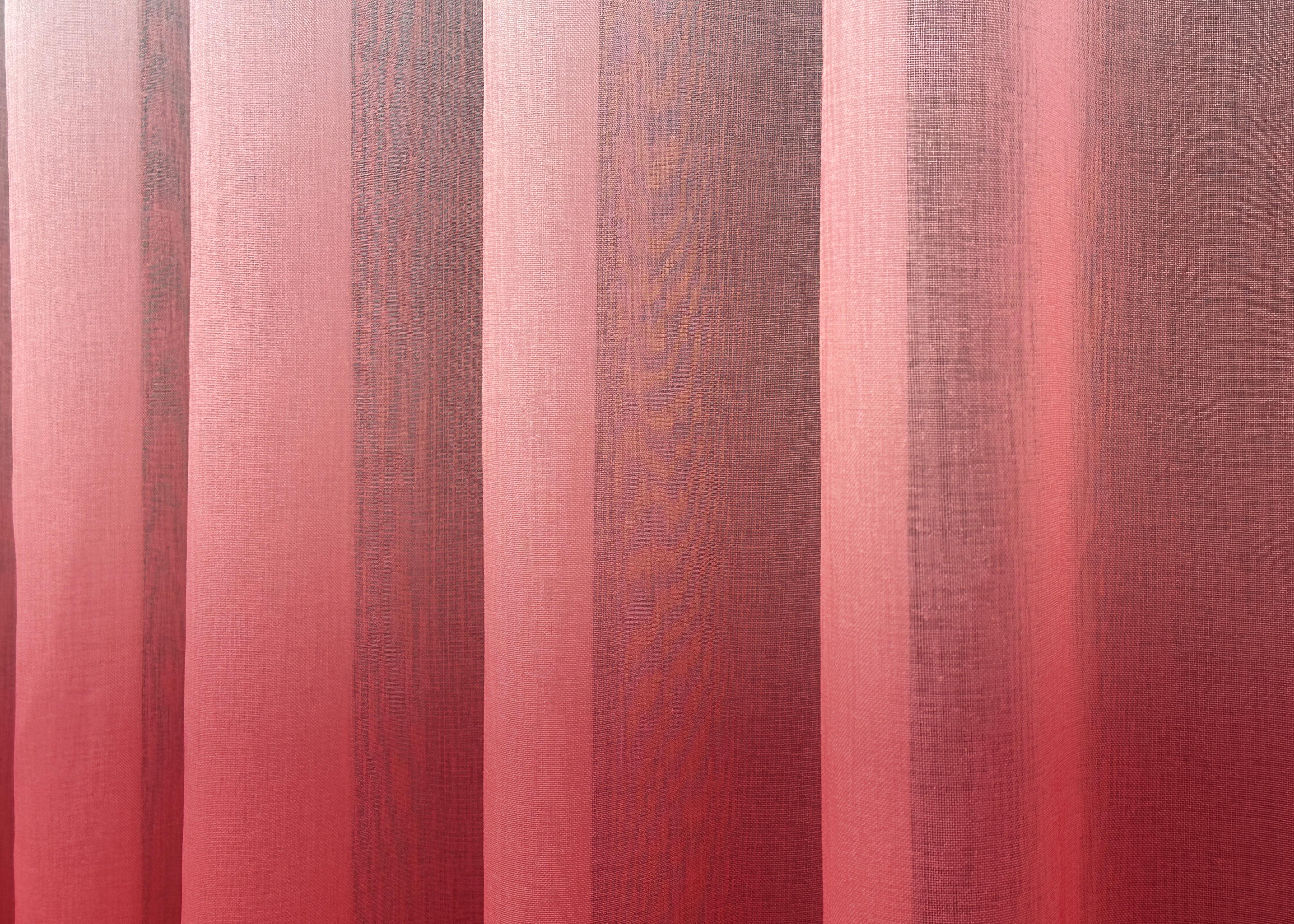 Тюль VR-Textil №829т Омбре Батист 300х250 см Красный/Белый (42-0551) - фото 5