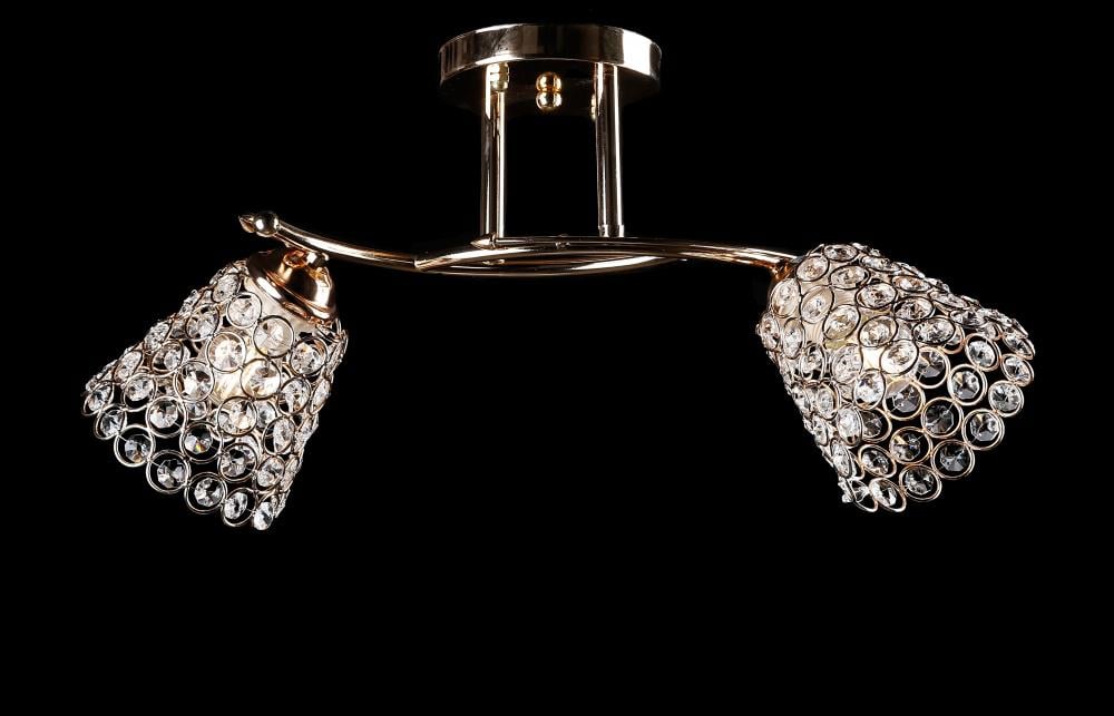 Люстра с плафонами Ray L1936/2 FGD (IR005995)