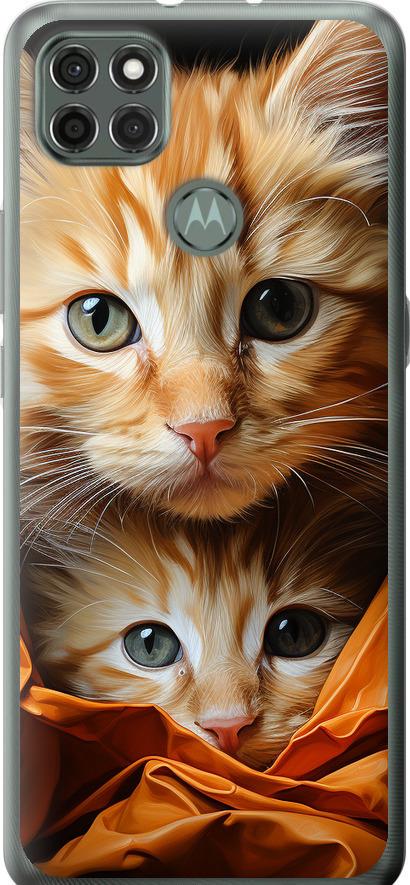 Чехол на Motorola G9 Power Котики 2 (5664u-2229-42517)