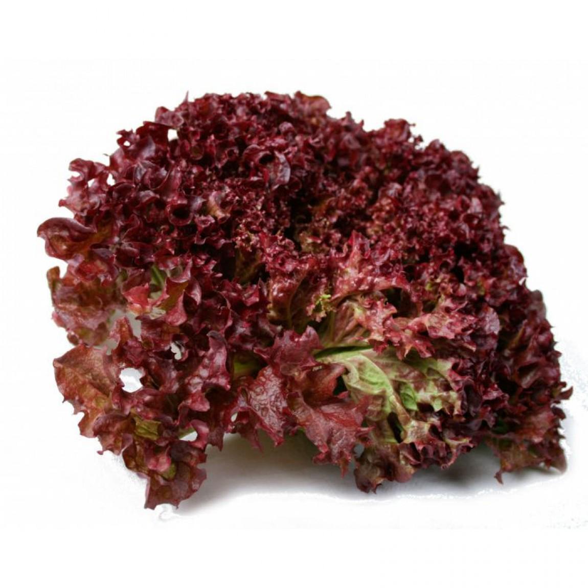 Семена Салат Florium Ред Курл (7931)