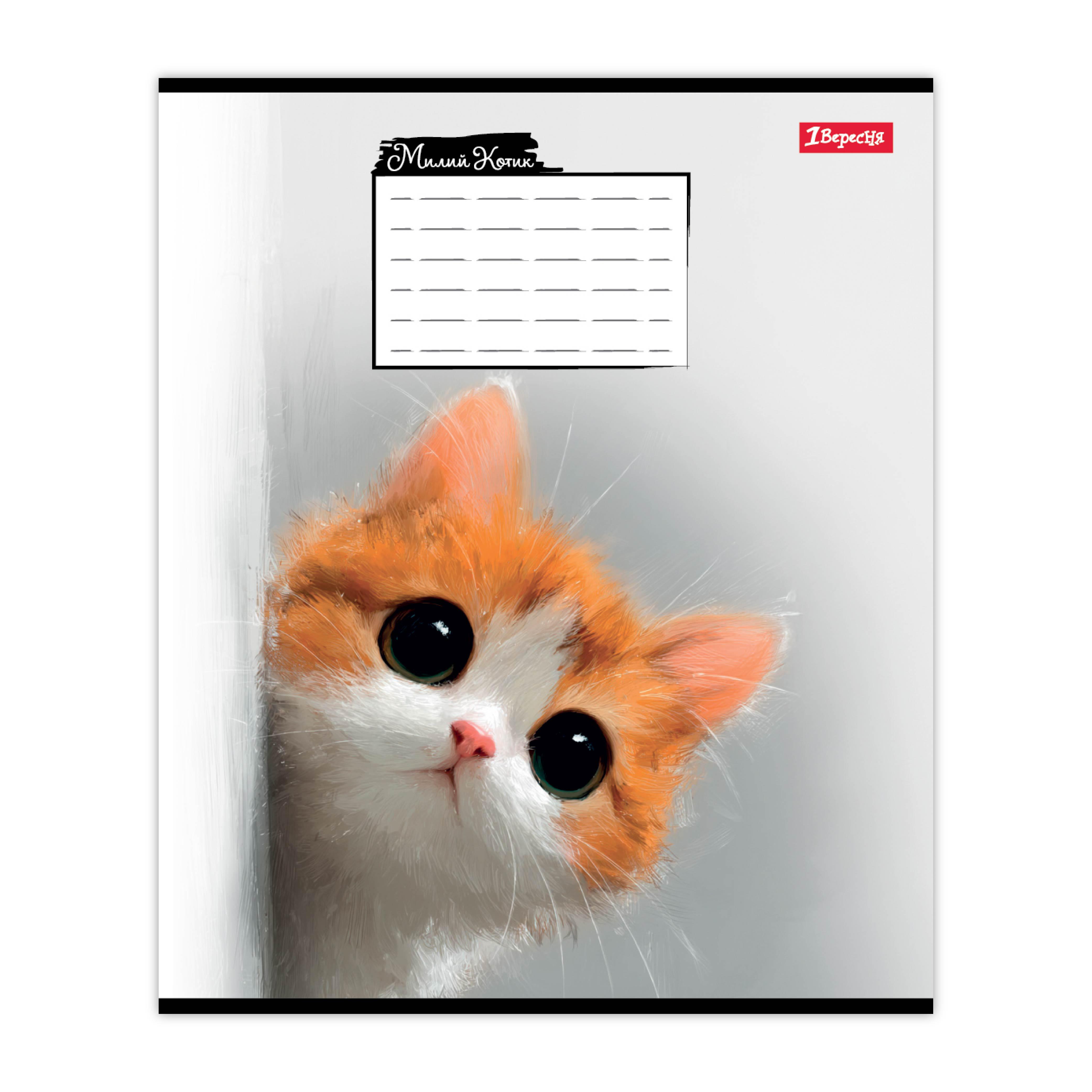 Тетрадь школьная 1 Вересня Little Cat ячейка 12 л. (768734)