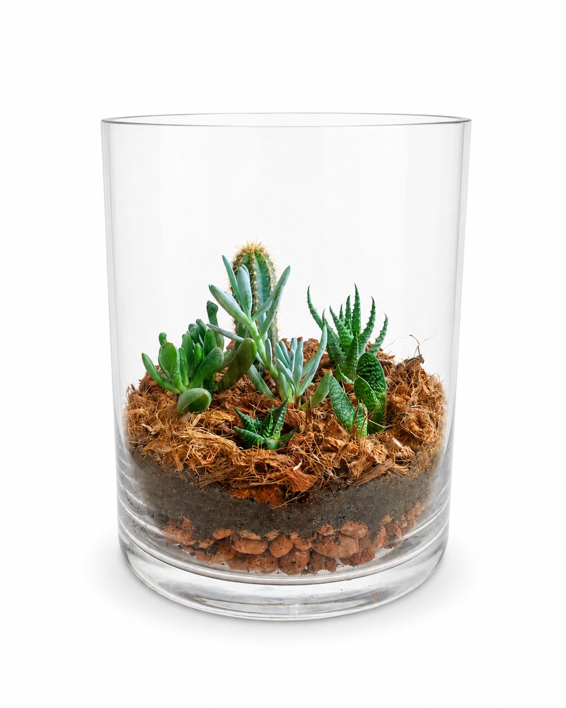 Флорариум авторский Aqua-Tech Exclusive Florarium FL001 (ATEFC001)