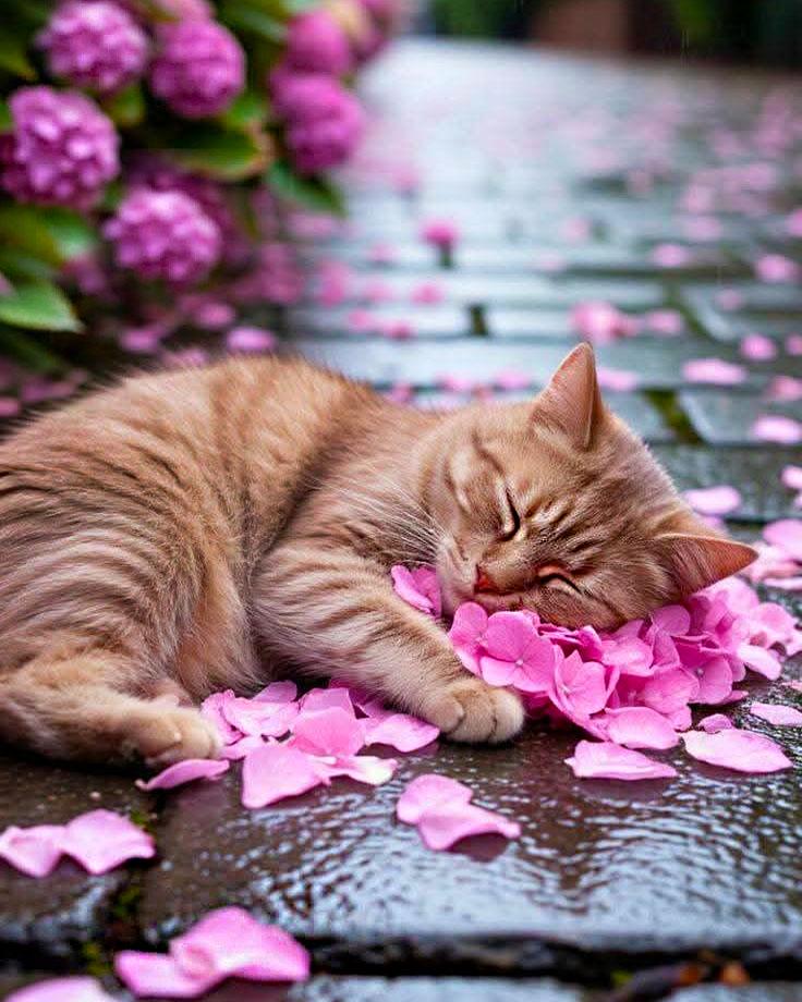 Алмазна мозаїка MY-Art В очікуванні весни на підрамнику круглі алмази 40х50 см (AR-3288)