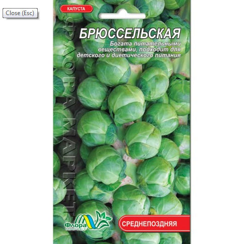 Семена капусты Брюссельская среднепоздняя 0,5 г (26551)