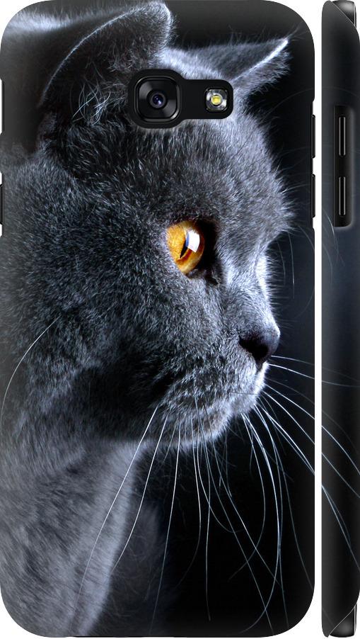 Чехол на Samsung Galaxy A5 (2017) Красивый кот (3038c-444-42517)