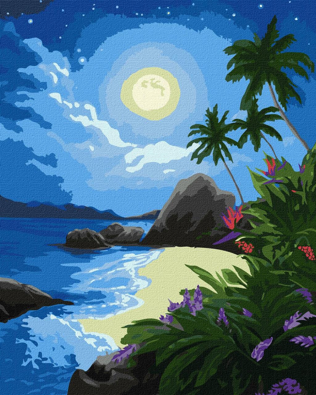 Картина по номерам Идейка Лунная ночь KHO2730 холст на подрамнике 40x50 см (1787369838)