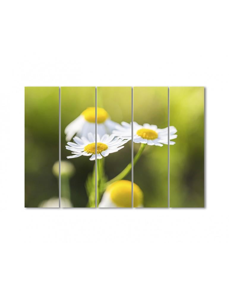 Картина модульная Ромашки 5 модулей 90x135 см (180246cvety_i_rasteniya)