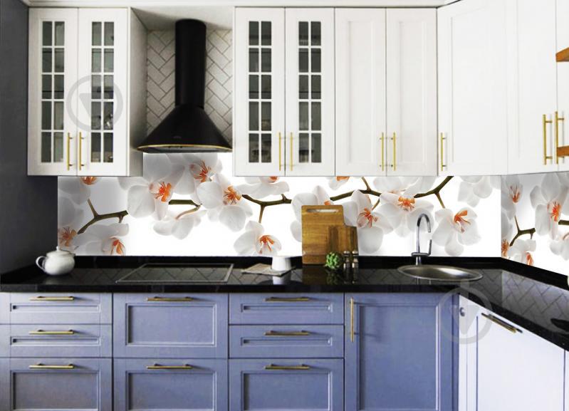 Кухонный фартук Zatarga Орхидея 02 650х2500 мм Белый (Z180116/1)
