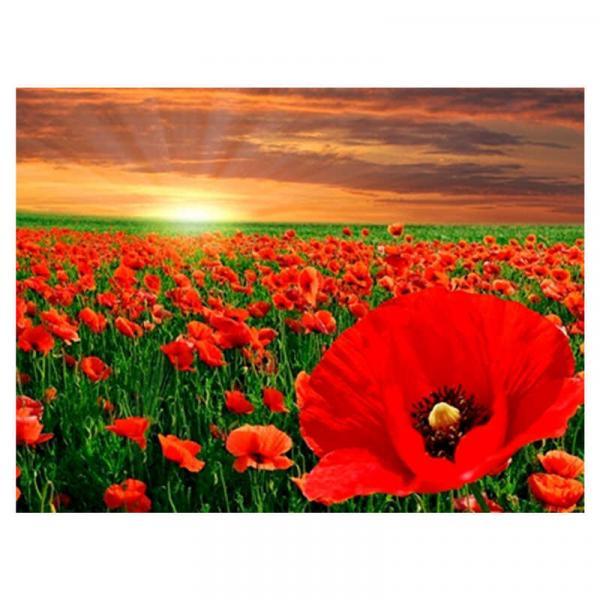 Алмазна мозаїка TK Group Макове поле 40х30 см з рамкою в коробці (GB77491-mt)