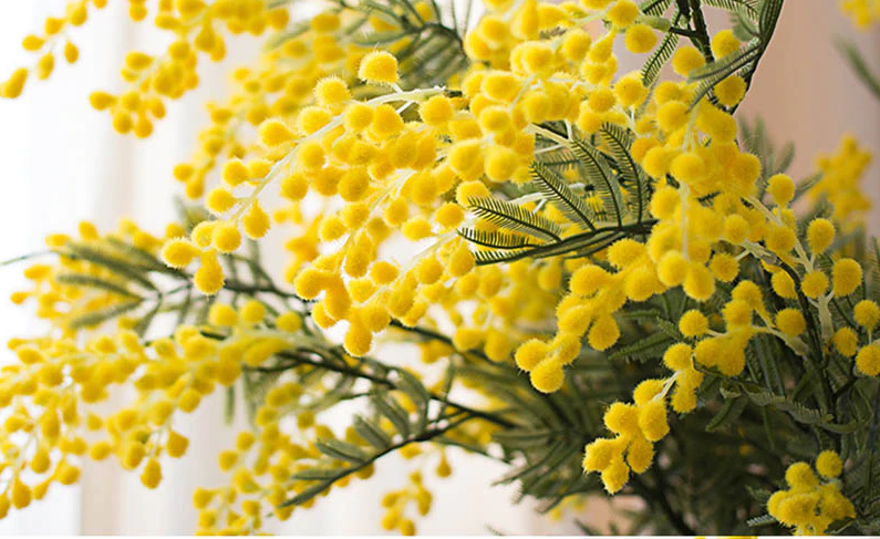 Мимоза ветка искусственная Indigo 86 см (9191А) - фото 11 Мимоза ветка искусственная Indigo 86 см (9191А) - фото 11