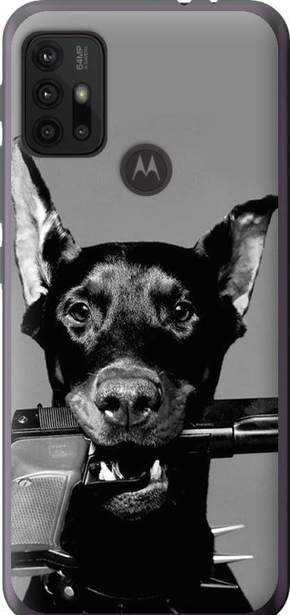 Чохол на Motorola Moto G10 Доберман (2745t-2319-42517)