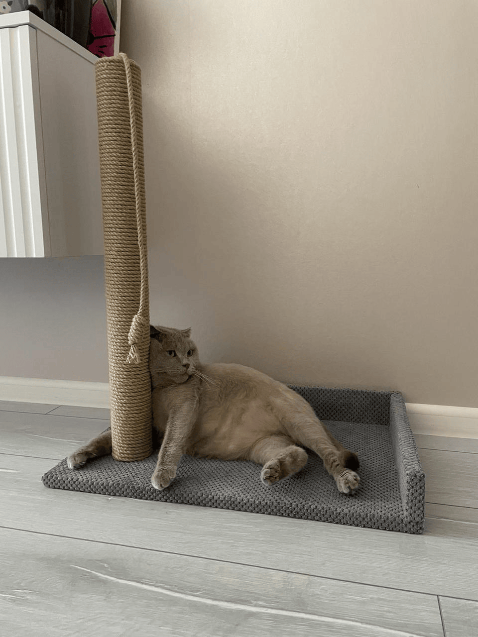 Когтеточка-лежанка для кошек 62x55x45 см Серый (21706931) - фото 4 Когтеточка-лежанка для кошек 62x55x45 см Серый (21706931) - фото 4