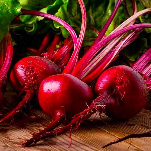 Семена Свекла Florium столовая Борщевая (9164)