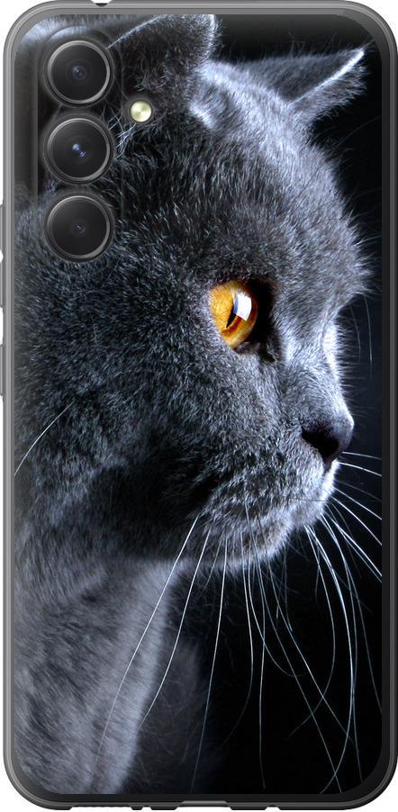 Чохол на Samsung Galaxy A54 A546E Гарний кіт (3038u-2935-42517)