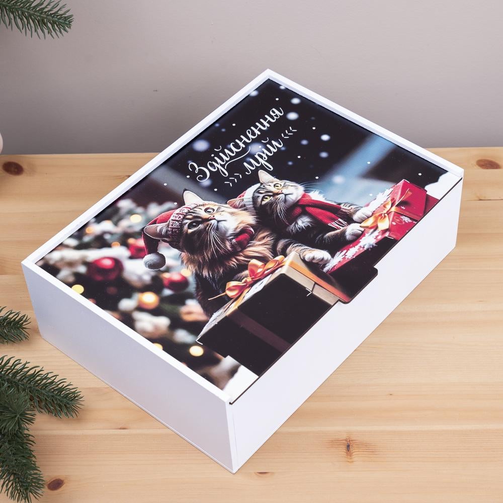 Коробка прямоугольная Котики 32 см (6967-19)