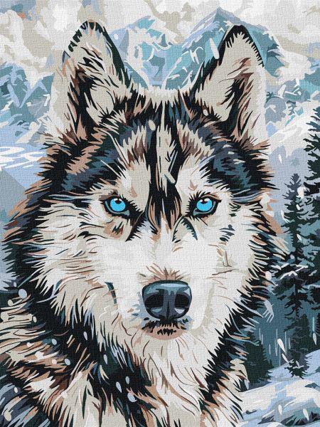 Картина за номерами Ideyka Очі опівночі 30x40 см (Id-KHO6842)