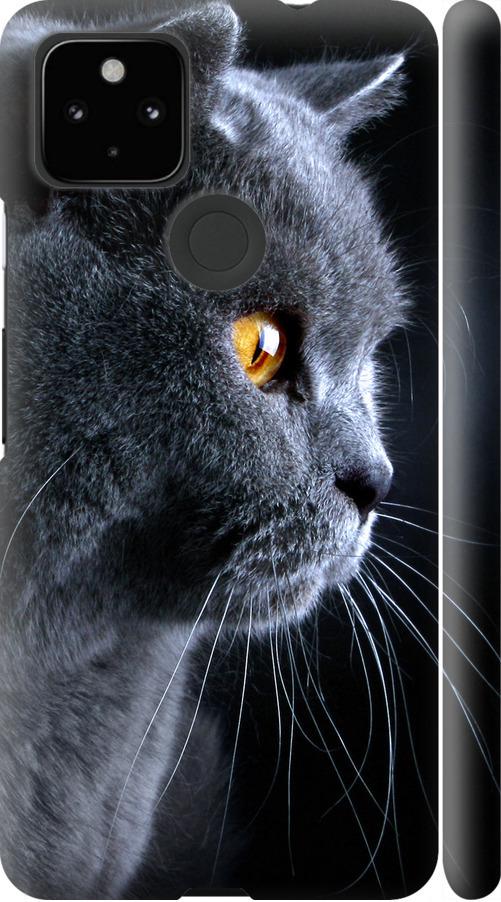 Чехол на Google Pixel 5A Красивый кот (3038m-2286-42517)