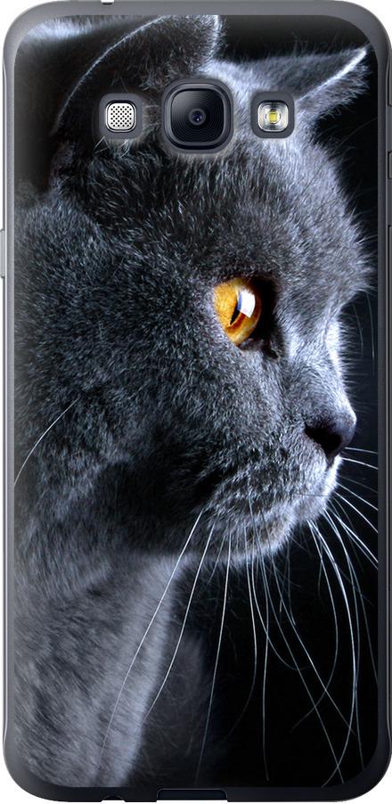 Чехол на Samsung Galaxy A8 A8000 Красивый кот (3038u-135-42517)