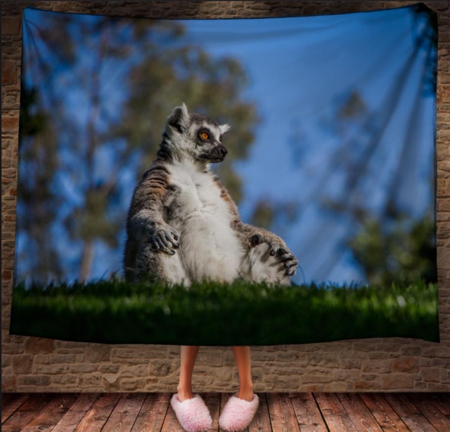 Плед с 3D принтом Лемур Медитация 150x200 см (epi_1779)