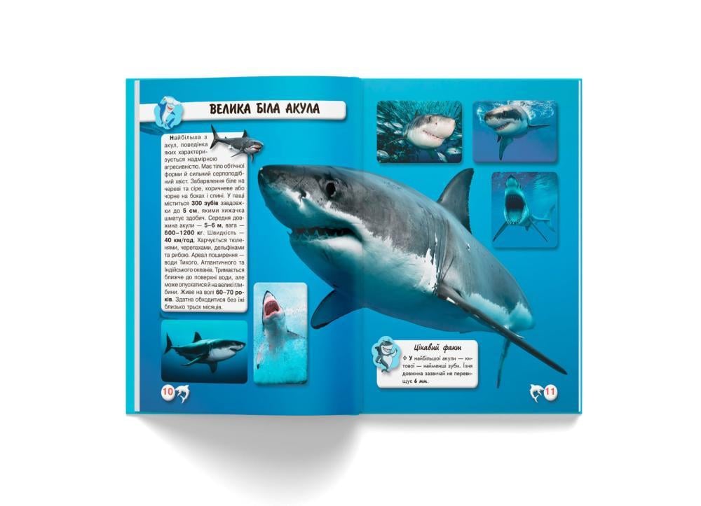 Книга "Світ навколо нас. Акули" Кристалл Бук (F00020894) - фото 3 Книга "Світ навколо нас. Акули" Кристалл Бук (F00020894) - фото 3
