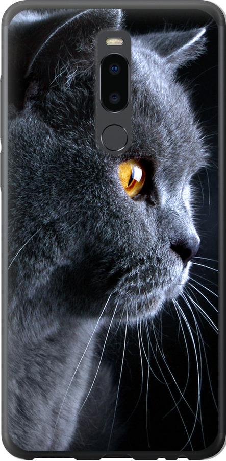 Чехол на Meizu Note 8 Красивый кот (3038u-1610-42517)