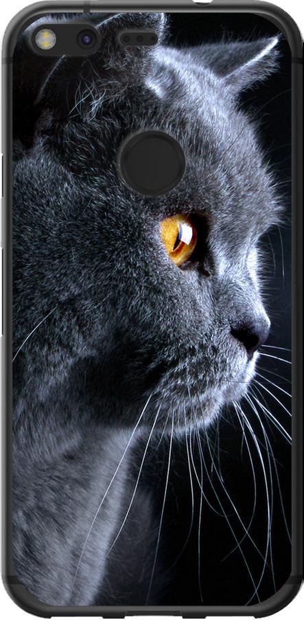 Чехол на Google Pixel Красивый кот (3038t-400-42517)